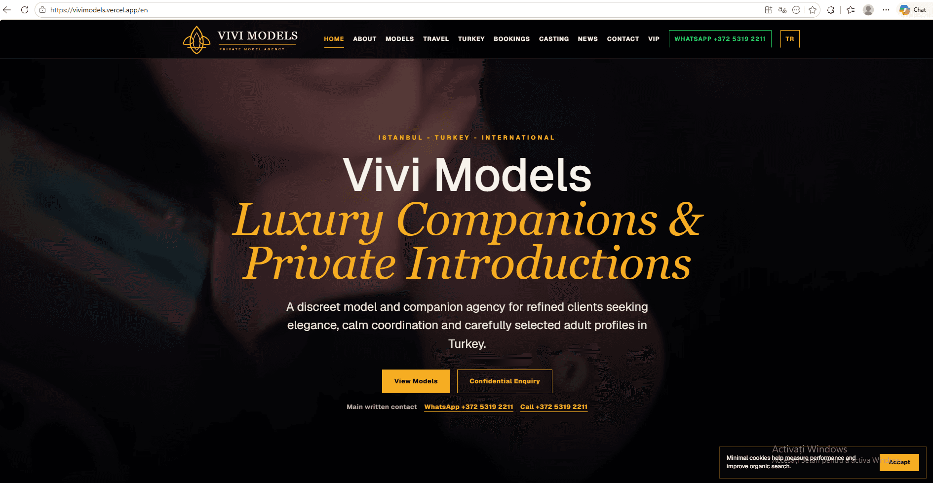 Vivi Models